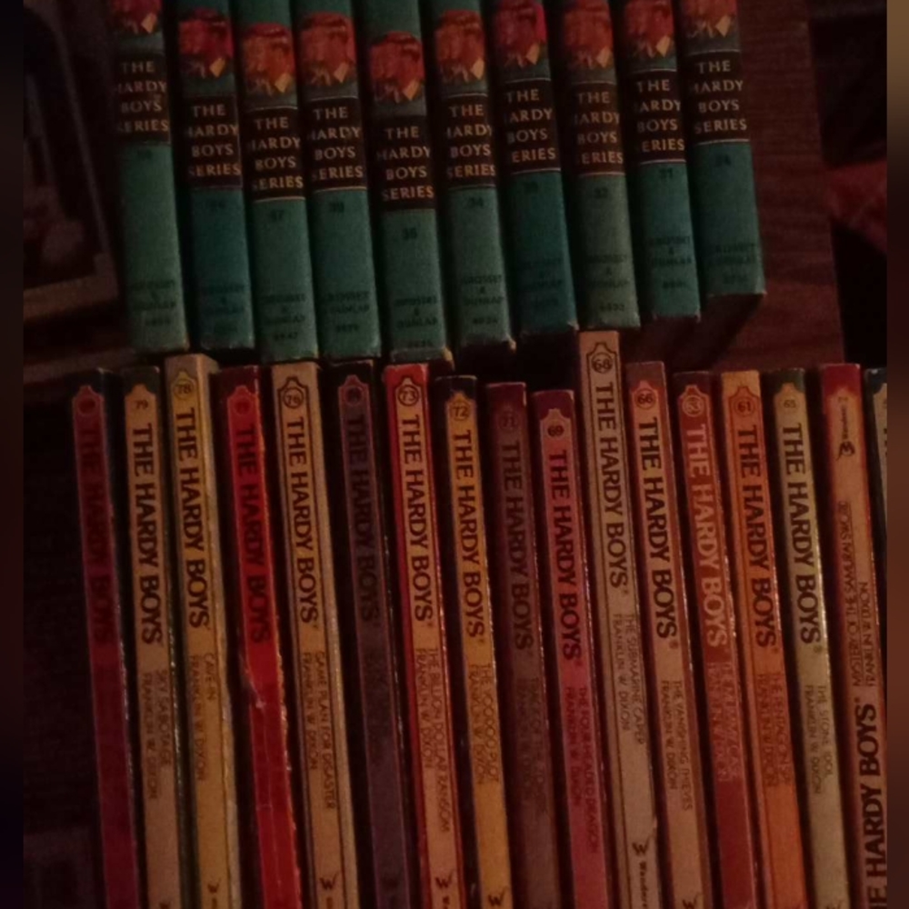 The Hardy boys